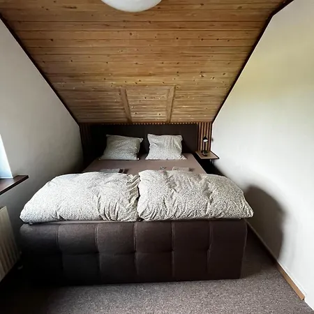 Nest Sønderborg