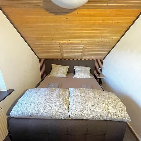 Nest